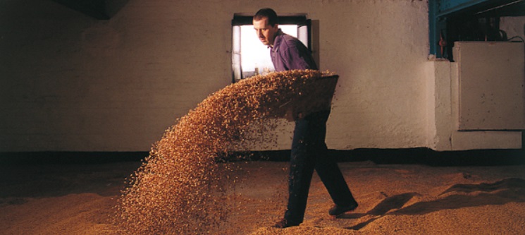 Floor Malting