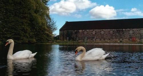 OLD ELGIN 8年 80年代前半 容量表記無フラットボトル リンクウッド&ロングモーン