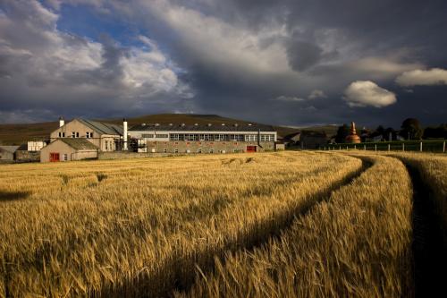 GLENAVON 1958 Captain Burn's Selection グレンファークラス