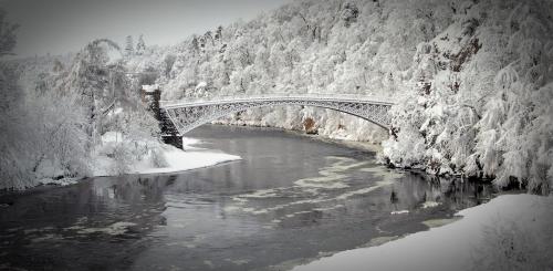 歳末セール SPEYBRIDGE Secret Craigellachie シェリーバット　